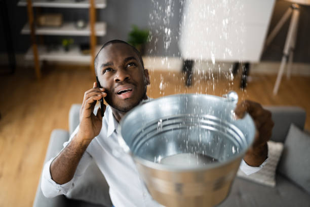 Best Professional water damage repair  in Gretna, NE