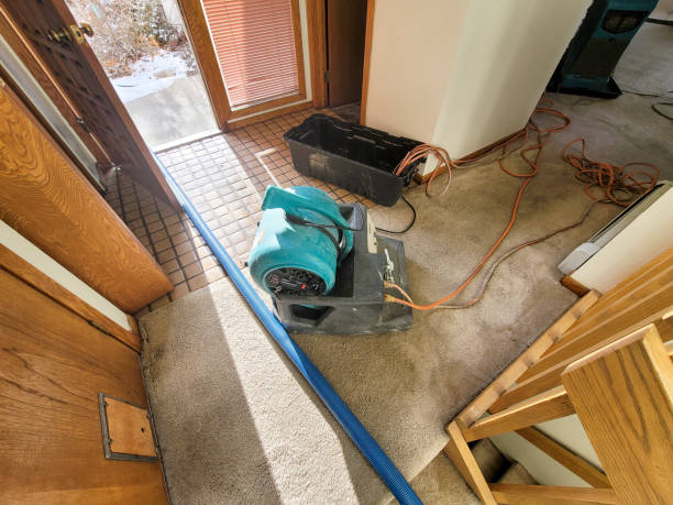 Best Flood damage cleanup  in Gretna, NE
