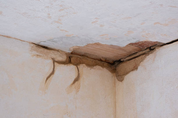  Gretna, NE Water damage restoration Pros