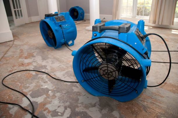 Best Local water damage restoration  in Gretna, NE
