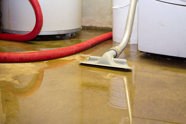 Best Fire Damage Restoration  in Gretna, NE