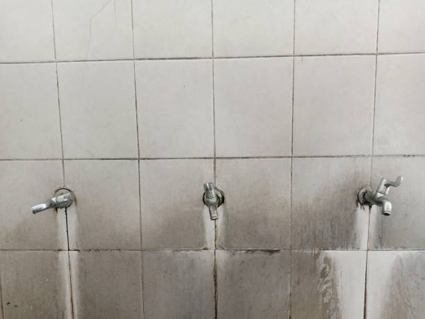 Best Ceiling water damage repair  in Gretna, NE