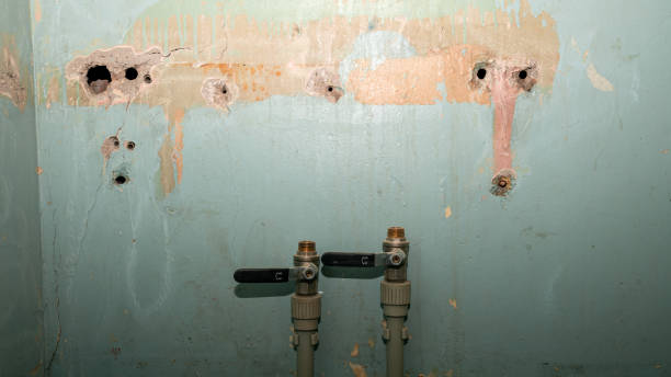 Best Commercial water damage restoration  in Gretna, NE