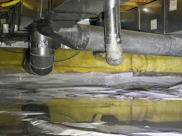 Best Water damage contractors near me  in Gretna, NE