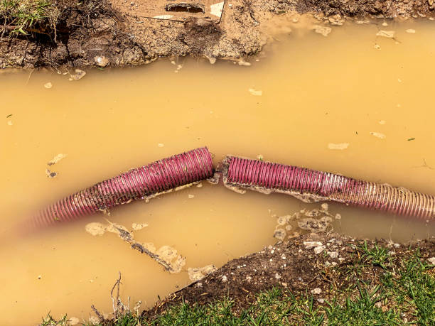 Best Water damage restoration services  in Gretna, NE
