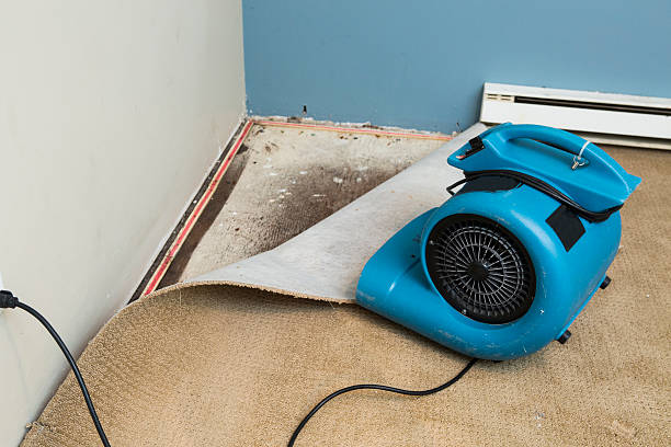 Best Water damage repair service  in Gretna, NE